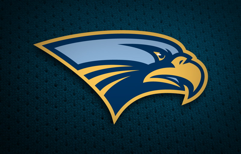 Collegiate Athletic Logo Design Sports Branding Falcons Logo